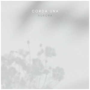 被爆❌自慰流水3D
